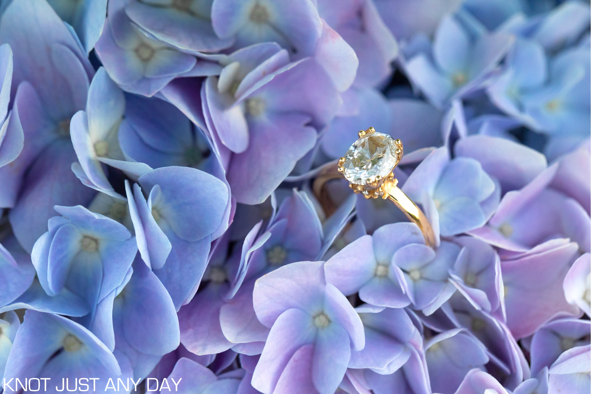 engagement ring perched in flowers