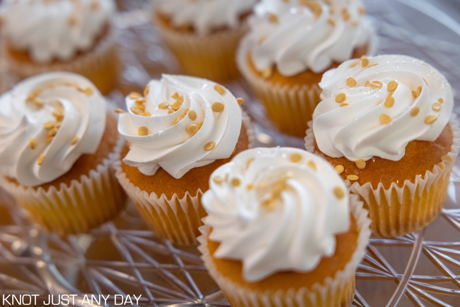 Bridal Shower Photography Pennsylvania Wedding Photographers