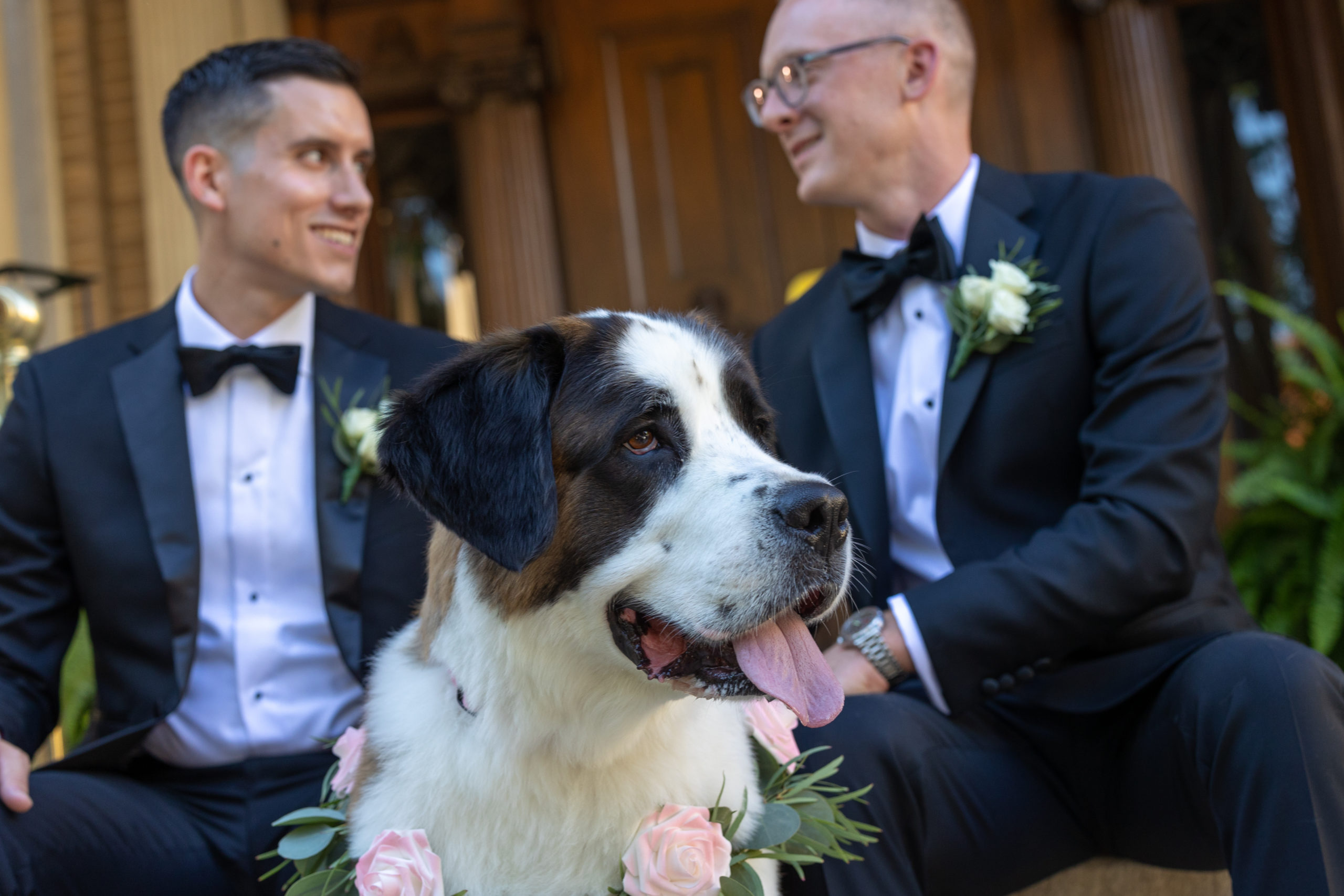 newlywed grooms and their saint bernard at the Westmoreland Club in Wilkes-Barre, PA